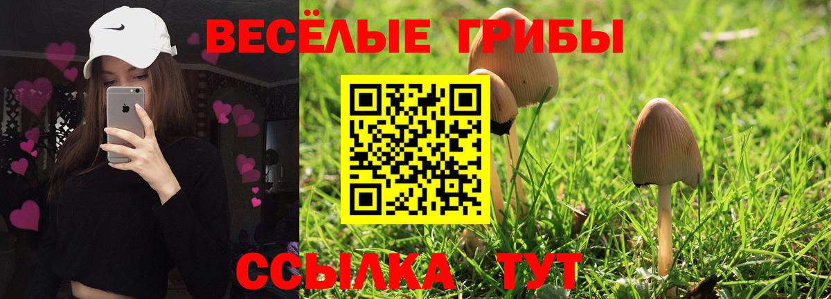Великий Новгород  Галлюциногенные грибы Magic Shrooms  Вход с VPN 