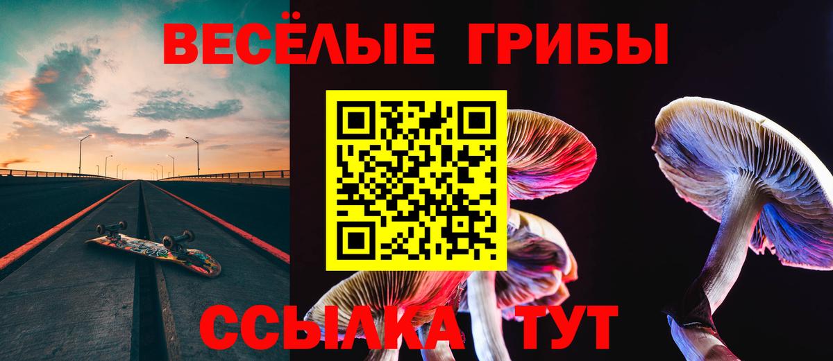 Галлюциногенные грибы Psilocybe Великий Новгород